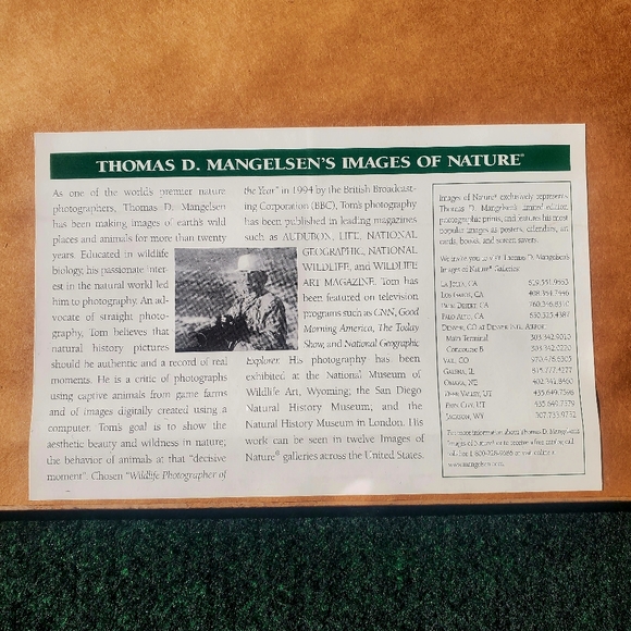 Thomas D. Mangelsen Out Of Darkness Bald Eagle Signed Framed Print Art 34"x28" - Picture 11 of 16